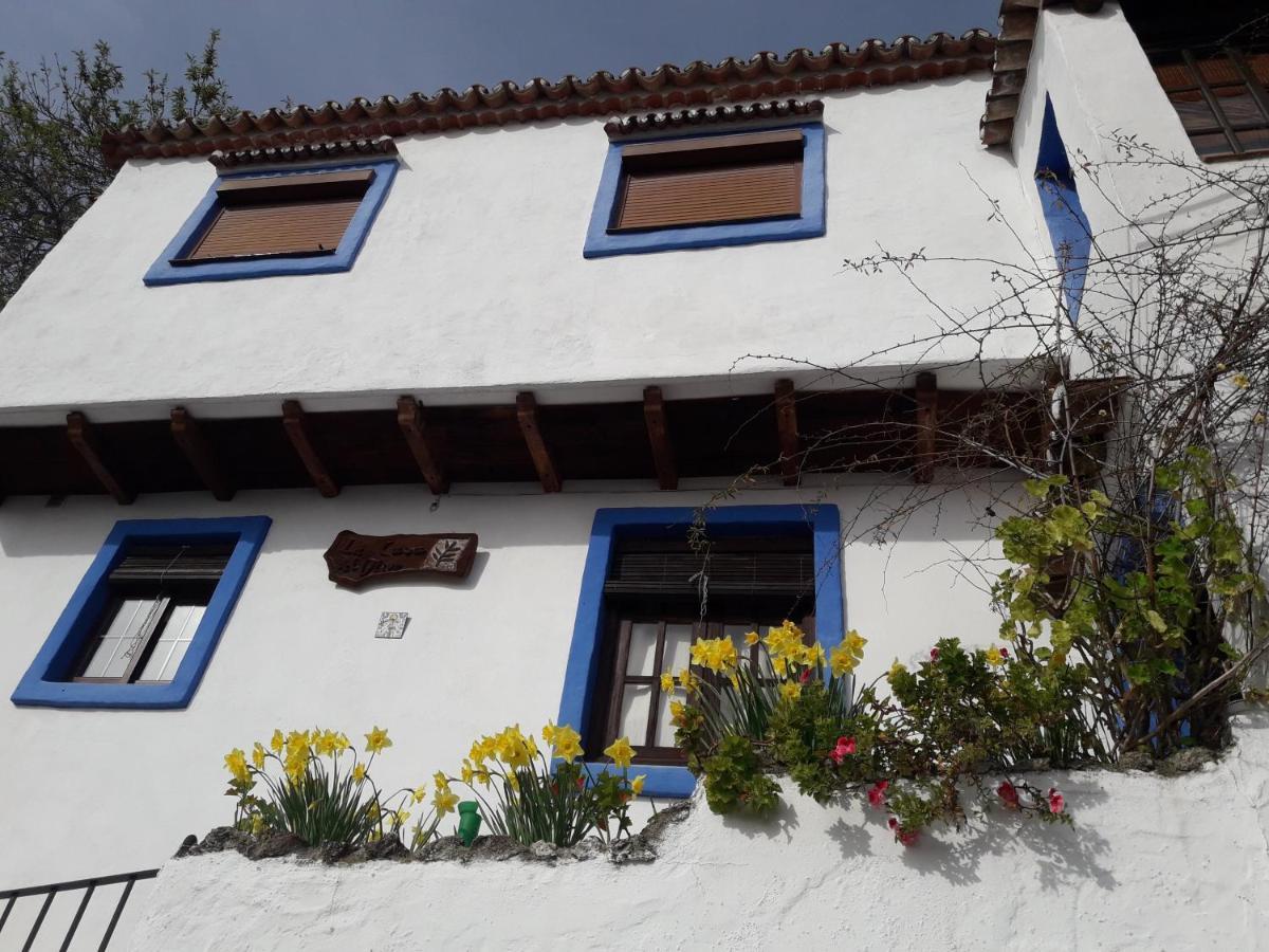 Casa El Olivo By Casaturistica Villa Benalauría Buitenkant foto