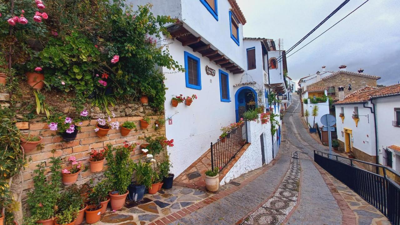 Casa El Olivo By Casaturistica Villa Benalauría Buitenkant foto